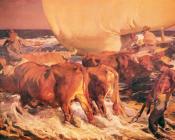 华金索罗利亚巴斯蒂达 - Sol De La Tarde